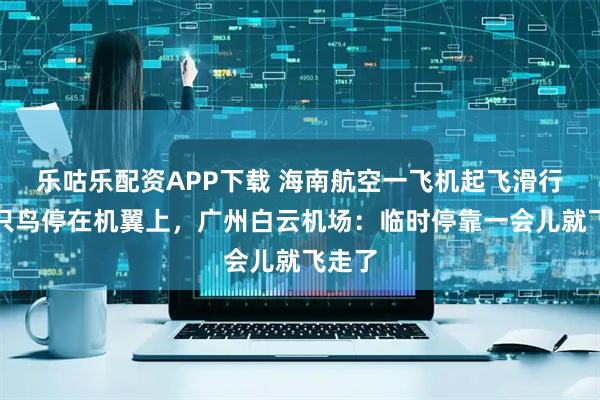 乐咕乐配资APP下载 海南航空一飞机起飞滑行时一只鸟停在机翼上，广州白云机场：临时停靠一会儿就飞走了