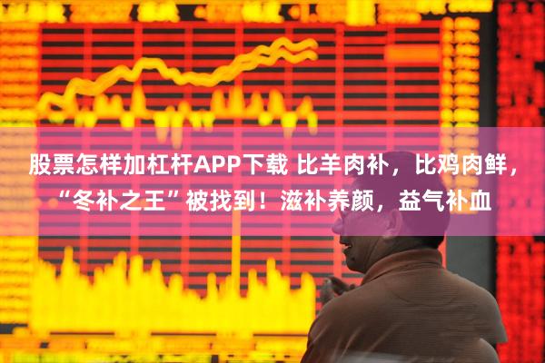 股票怎样加杠杆APP下载 比羊肉补，比鸡肉鲜，“冬补之王”被找到！滋补养颜，益气补血