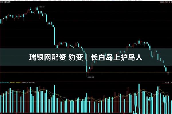 瑞银网配资 豹变｜长白岛上护鸟人